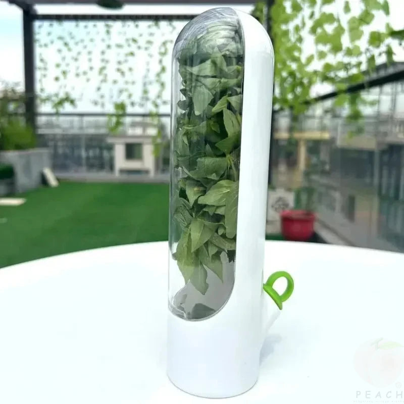 Vegetable Fresh-Keeping Box – Dust-Proof & Anti-Pressure Storage Container