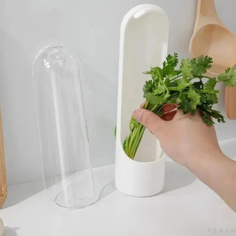 Vegetable Fresh-Keeping Box – Dust-Proof & Anti-Pressure Storage Container